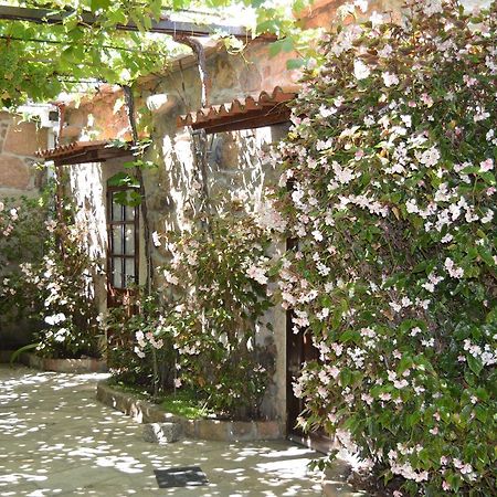 カルダス・デ・レイス Casa Loureiroゲストハウス エクステリア 写真
